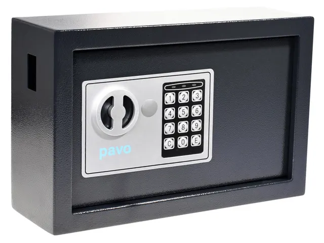 Sleutelkast Pavo high security 20 haken 205x347x147mm elektronisch