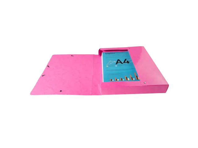 Klasseerdoos IDERAMA rug 40mm roze