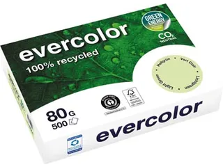 Gerecycleerd Kopierpapier Evercolor 80 Gram A4 Lichtgroen - 2