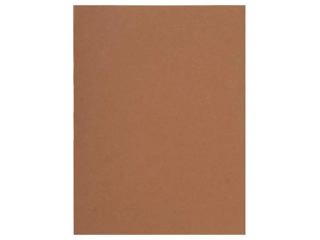 100 inlegmappen 100%gerecycleerd 22x31cm Chocolade