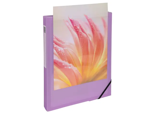 Boite de classement polypropylène Kreacover Pastel dos 40mm - A4 - Co