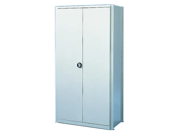 vleugeldeur,v. inhaakstelling,HxB 2000x1000mm,draaigreep,staal,RAL7035