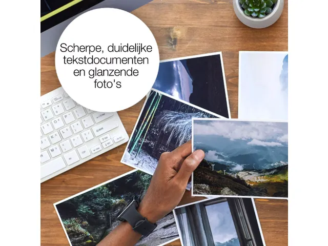 C13T16P84510 EPSON 6 kleuren 250XL Viool Claria EasyMail Photo HD-inkt