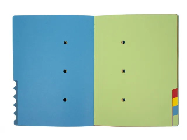 Sorteermap Kangaro 12 tabs