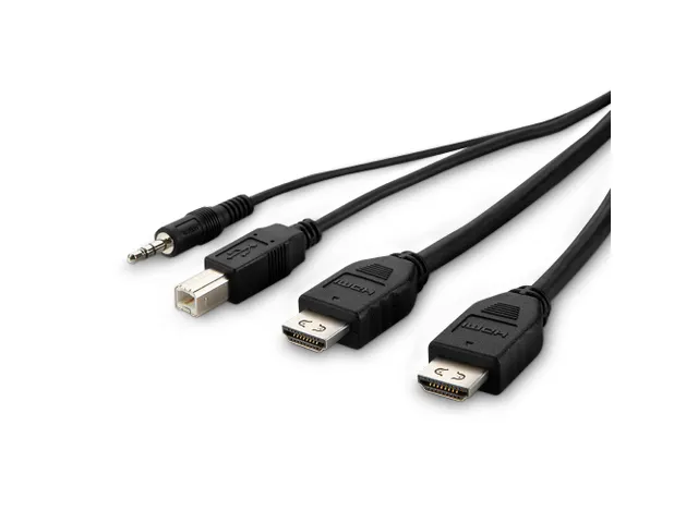 TAA Dual-Head DVI-D to HDMI High Retenti