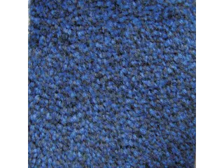 Schoonloopmat Binnen Klasse Bfl/s1 High-Twist-Nylon 115x180 Blauw - 2