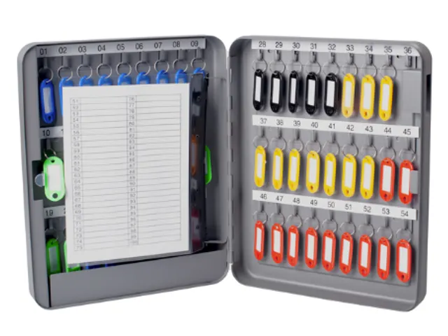Sleutelkast metaal Pavo basic met cijferslot 54 haken 30x24x8cm grijs