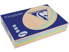 Trophée Pastel gekleurd papier A4 160 gram 250vel Assorti