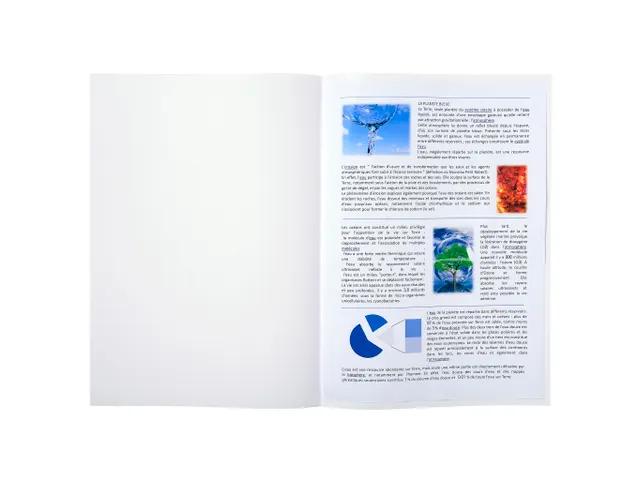 100 'Pleidooimappen' 22x31cm lichtgeel Wit Franstalig