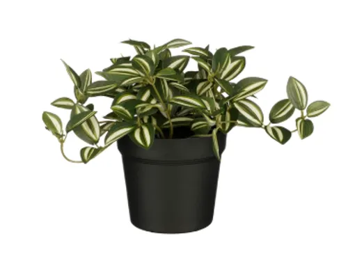 Kunstplant Mica Tradescantia in pot groen 16x16cm