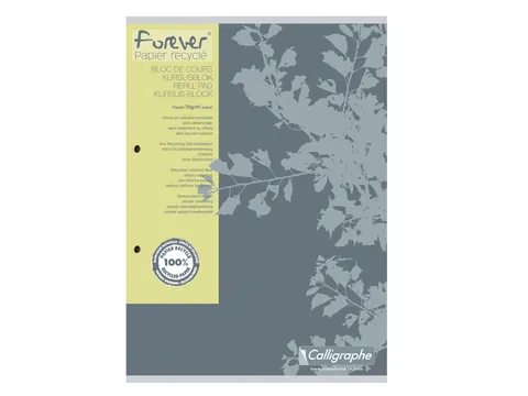Cursusblok Clairefontaine Forever Calligraphe A4 ruit 5x5mm 2-gaats 20