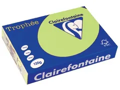 Trophée Pastel gekleurd papier A4 120 gram 250vel Golfgroen