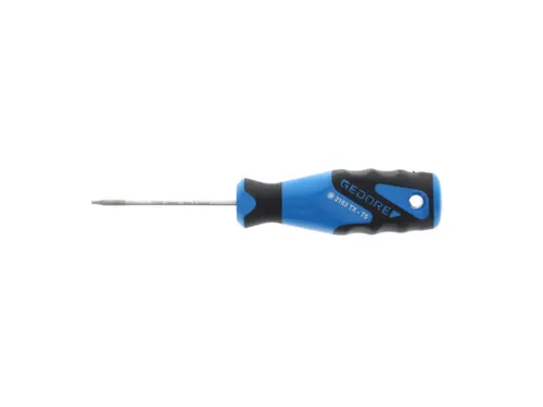 2163 Schroevendraaier TX T5 3C