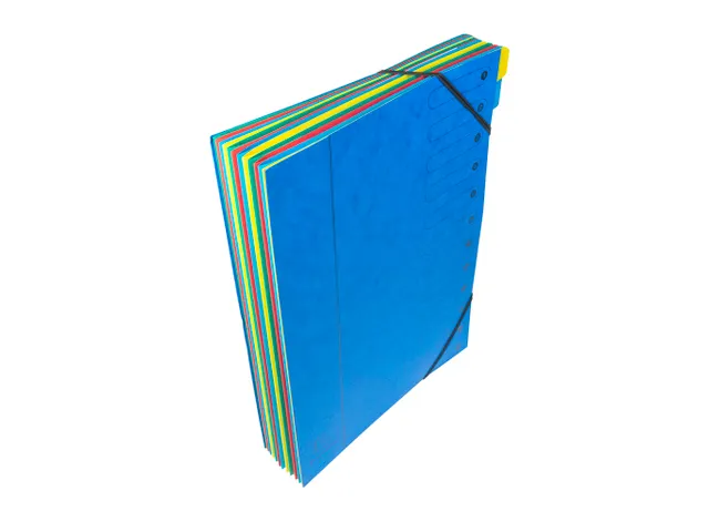 Sorteermap Harmonika 12 vak ass