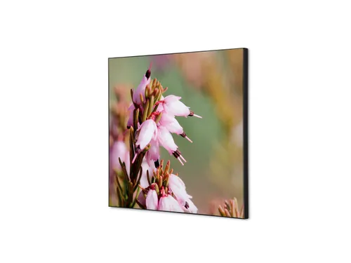 Wanddecoratie Textiel Set 40x40cm Roze Bloem Erica