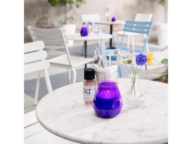 Bolsius Professional Twilight Paars Horeca kaars 12 stuks