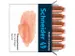 Inktpatronen Schneider pastel Abrikoos doos 6st.