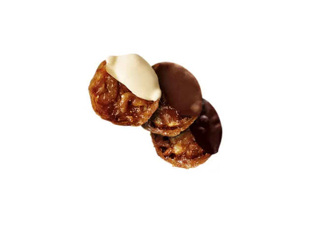 Koekjes Jules Destrooper finest 250gr assorti