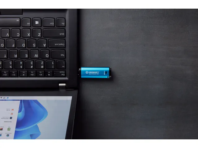 256GB USB-C IronKey Vault Privacy 50C AES-256 versleuteling, FIPS 197