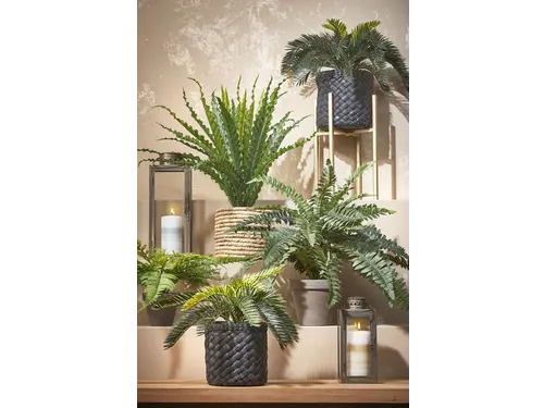 Kunstplant Mica Boston varen groen in pot 42x50cm