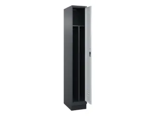 locker voor scheiding van kleding,HxBxD 1950x300x500mm,1vak - 2