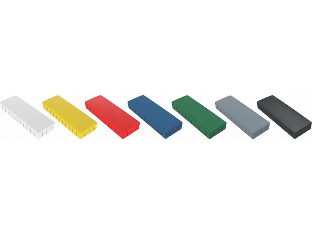 Magneet Maulsolid, Ft 54x19mm Assorti Doos à 10 stuks