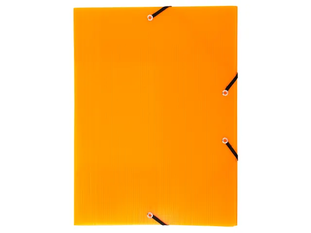 Exacompta Elastomap Linicolor PP A4 Assorti