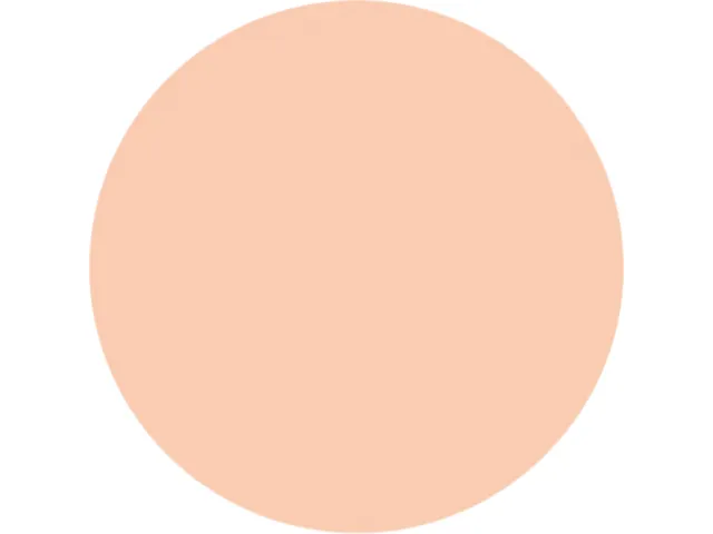 Crayon de couleur STABILO 880 woody 3-en-1 multi-surfaces abricot