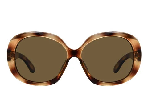 Zonnebril Montana bruin gepolariseerd glas glans demi