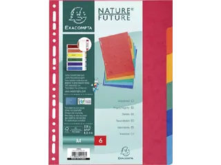 Tabbladen Exacompta A4 11-gaats 6-delig glanskarton Assorti - 2
