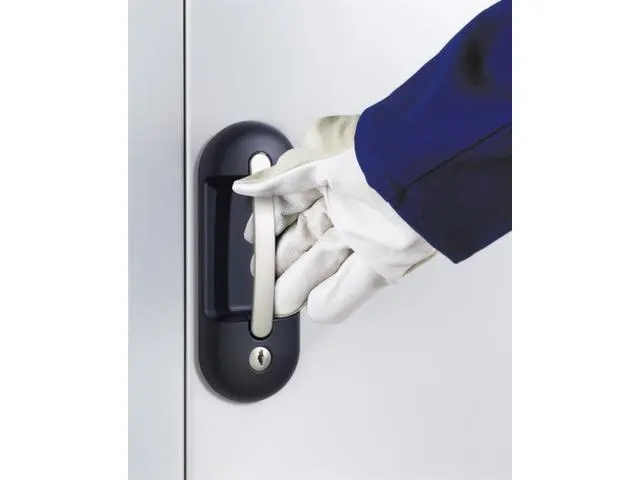 Kast Met Openslaande Deuren Hxbxd 1980x1000x420mm 9legborden Staal