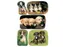 Sticker Etiket Herma 3528 Honden 15 stickers