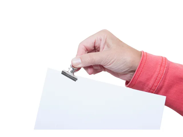 Papierklem MAUL Bulldog 30mm capaciteit 10mm zilver