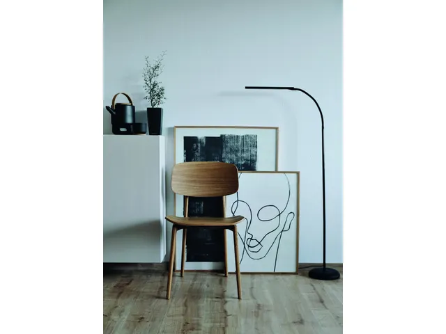 Vloerlamp MAUL Pirro LED dimbaar zwart