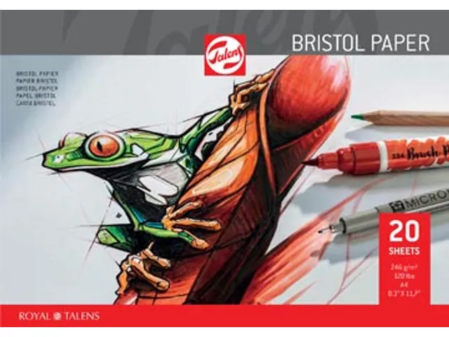 Bristol papier 250 g 21 x 29,7 cm A4 20 vel