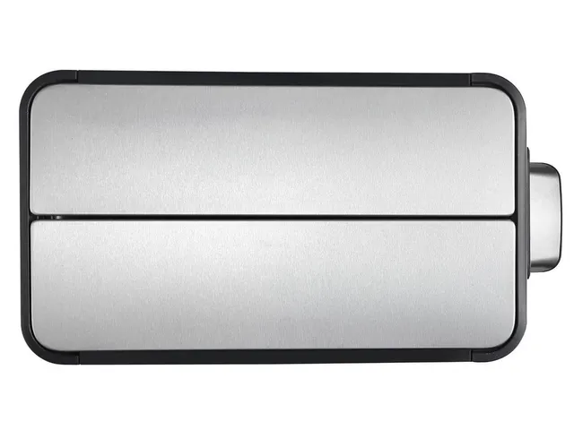 Pedaalemmer Voor Afvalscheiding Ecofly Step Bin 2x20 Liter Mat Rvs