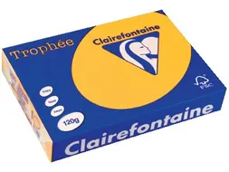 Trophée Intens Gekleurd Papier A4 120 gram 250vel Zonnebloem geel