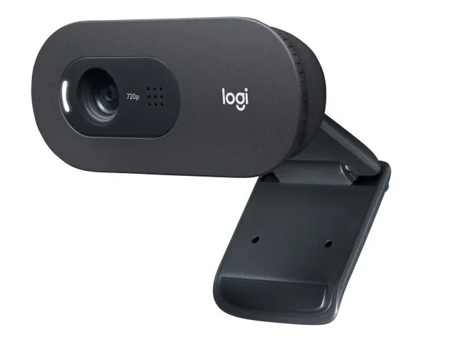 Logitech C505 HD Webcam