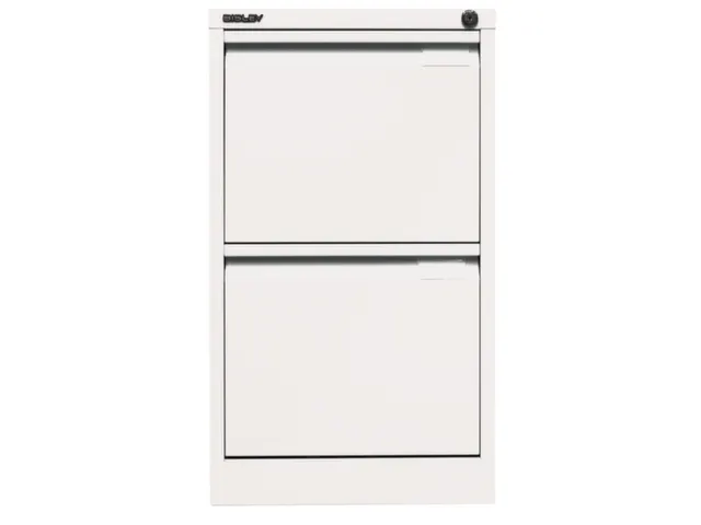 hangmappenkast HxBxD 711x413x622mm 2hangmappenframes verkeerswit