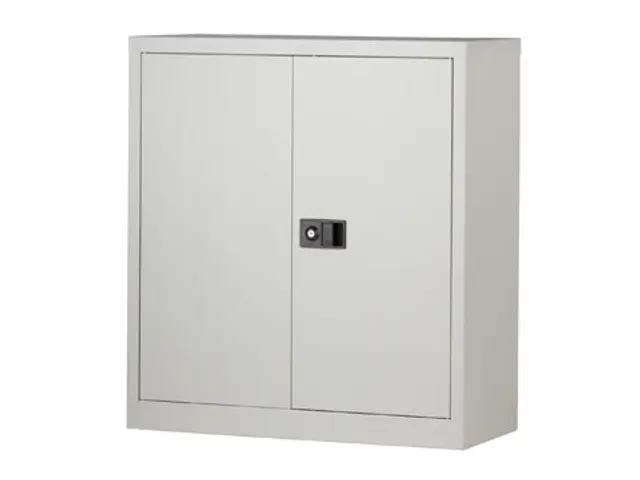 Bisley Draaideurkast Grijs