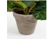 Kunstplant Mica Begonia wit in pot Stan grijs 25x30cm