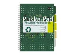 Projectboek Pukka Pad Recycled A4 lijn 5-tabs 4-gaats 200 pagina's 80g