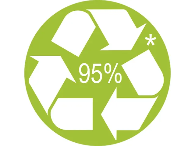 Balpenvulling Schneider Eco zwart 2 stuks op blister