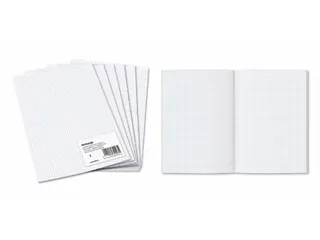 Geruit Ministerpapier A4 5x5mm 80 Gram 960 Bladzijden - 2