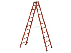Ladder Met Sporten Bomen/sporten Glasvezel Boom L 3 00M 2X10Sporten