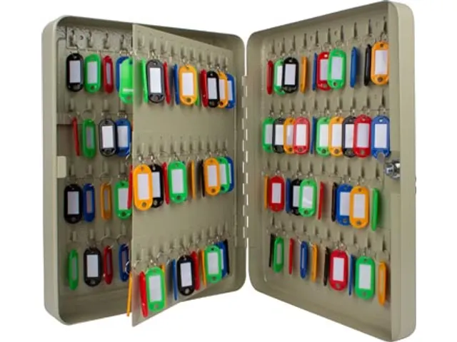 Sleutelkast Voor 140 Sleutelhangers Grijs Inclusief 2 Sleutels