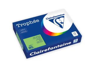 Trophée Intens gekleurd papier A4 80 gram 500vel Grasgroen - 1