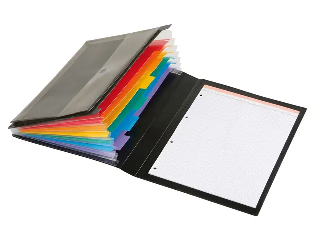 Farde pour documents manager Viquel Rainbow Class