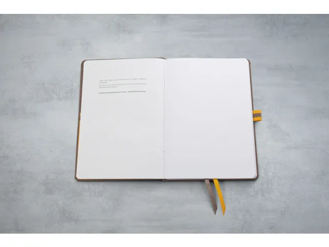 Cahier Linescape A5 brun ligné couverture rigide