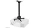 Plafondsteun voor Projector Zwart CL25-540BL1